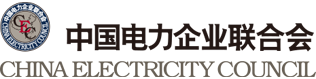 中电联 - 派可数据商业智能BI与数据治理标杆客户案例