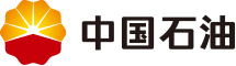 中国石油 - 派可数据商业智能BI与数据治理标杆客户案例