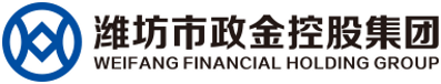 潍坊市政金控集团 - 派可数据商业智能BI与数据治理标杆客户案例